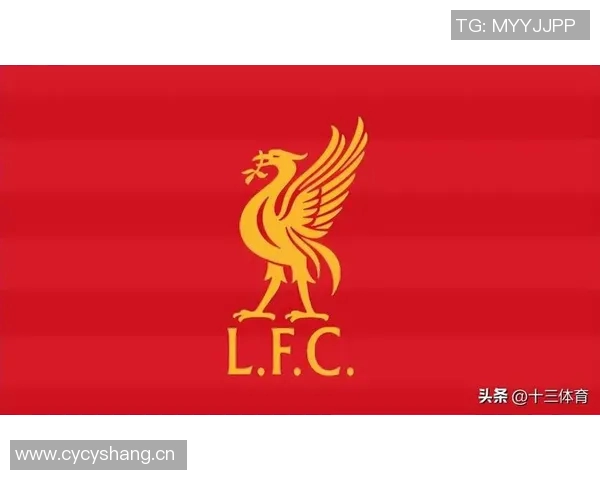 英超球队赞助收入：英超球队的赞助收入来源与影响。